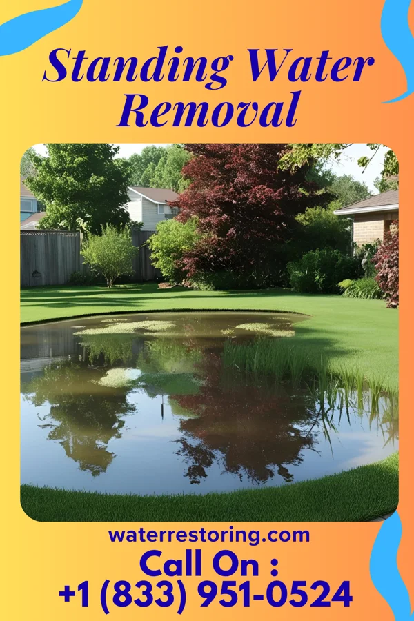 Standing Water Removal in Dakota Ridge, CO
